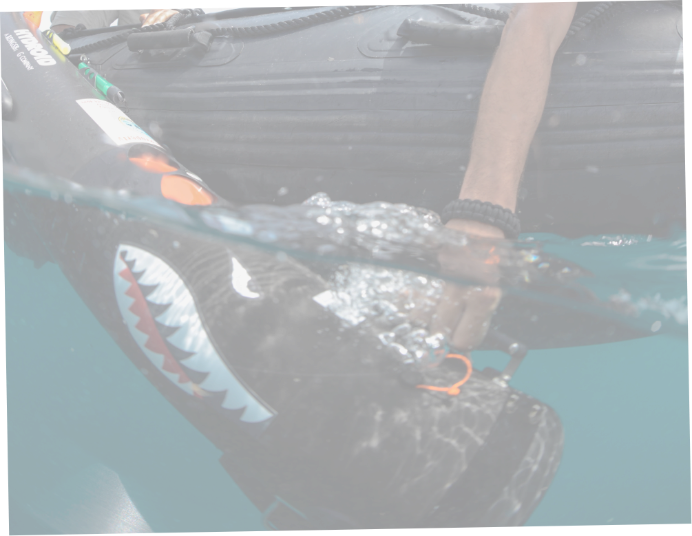 One person reaches hand in water holding a marine technology painted like a shark.